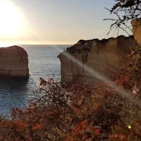 Apartamento Magnific With A Cozy Garden, 5 Minutes To The Albufeira