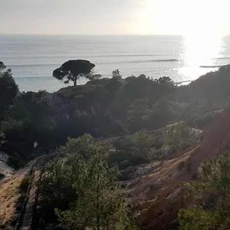 Magnific With A Cozy Garden, 5 Minutes To The Albufeira