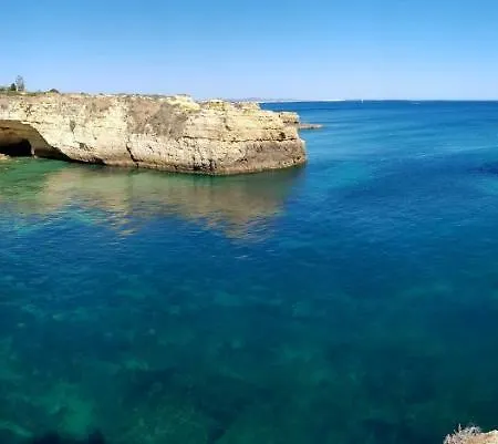 Διαμέρισμα Magnific With A Cozy Garden, 5 Minutes To The *