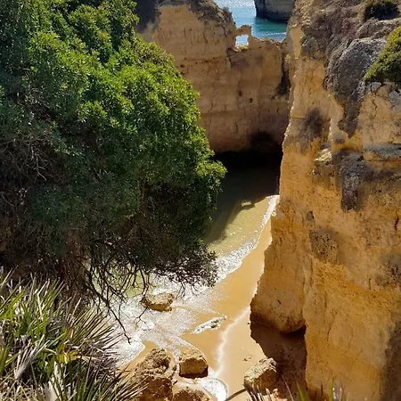 Magnific With A Cozy Garden, 5 Minutes To The